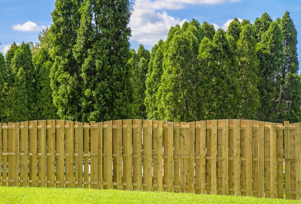 Privacy Fence Placement